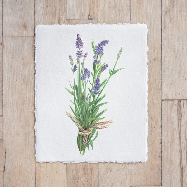Lavender Watercolor Print